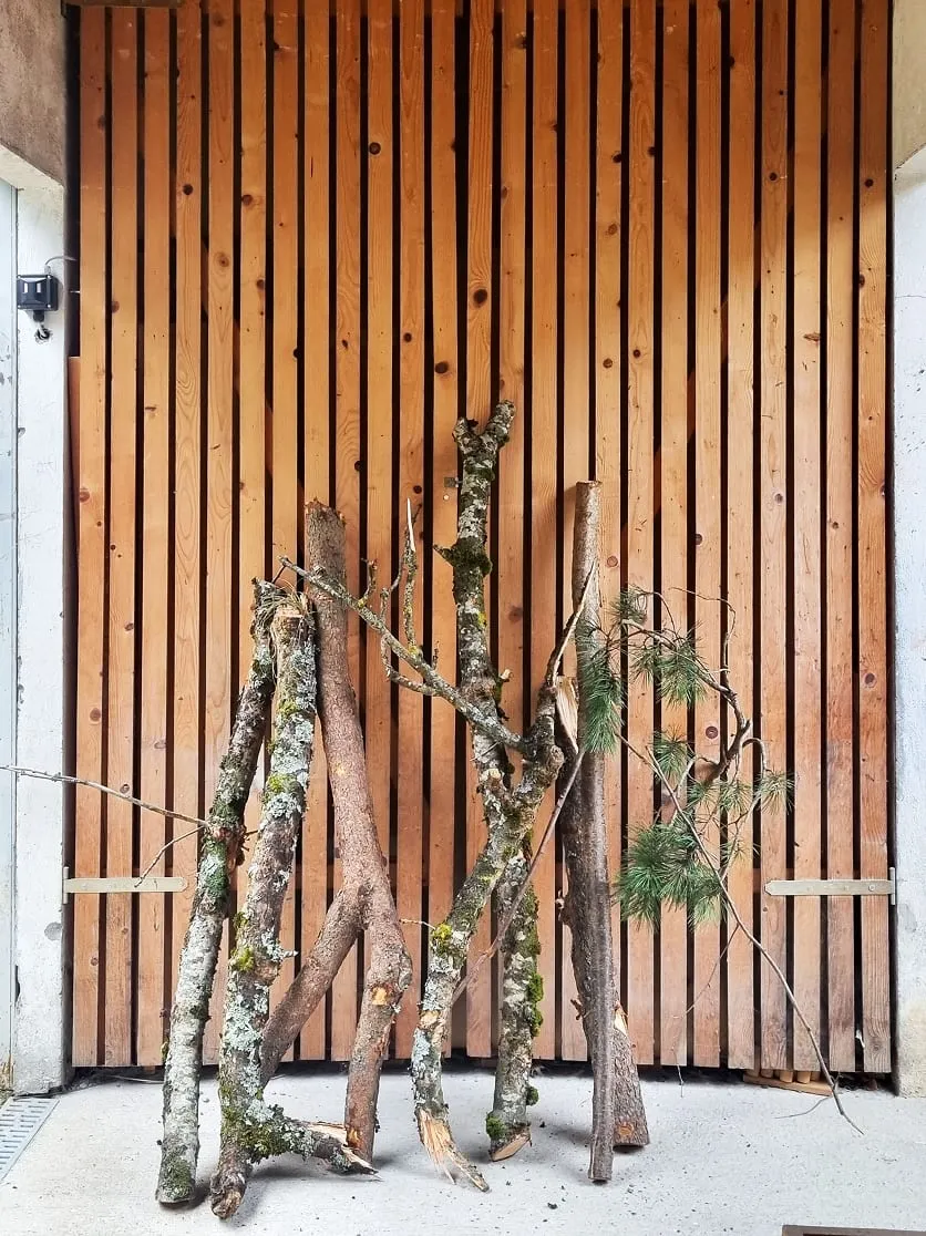 Deux arbres qui se trouvent devant un mur