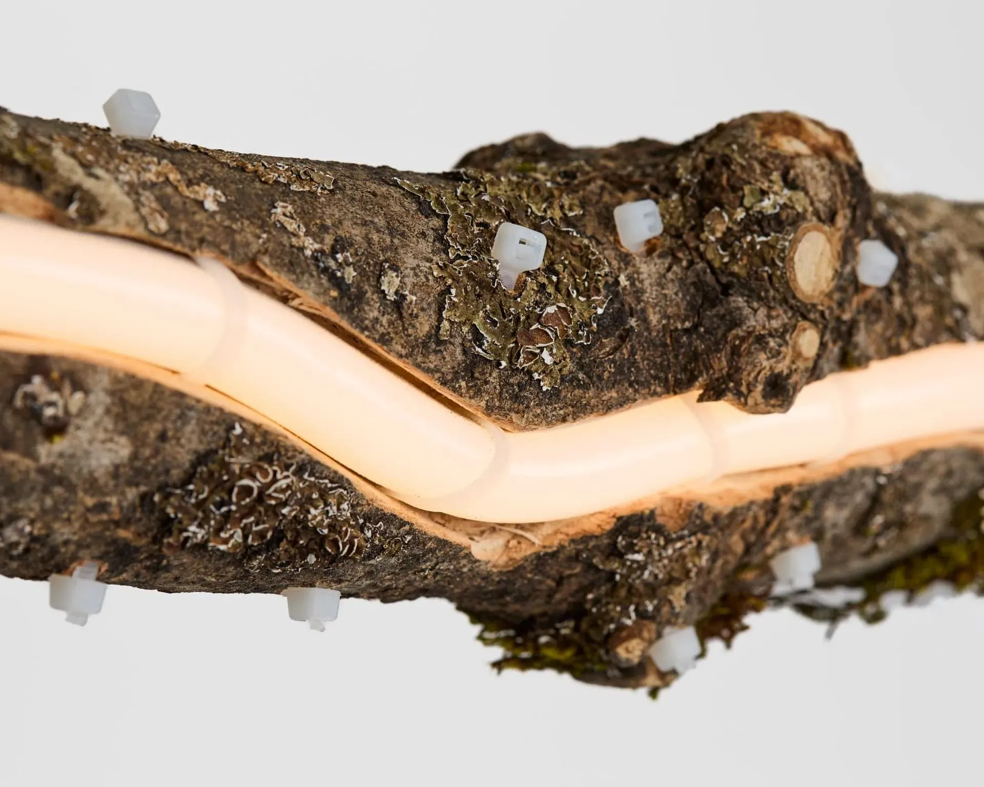 Une gros plan d'une pièce de bois avec un tuyau blanc qui en sort
(Note: The term "gros plan" is French for "close-up")