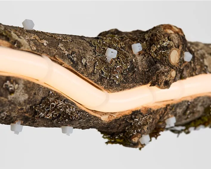 détail d'une branche avec un néon à l'intérieur