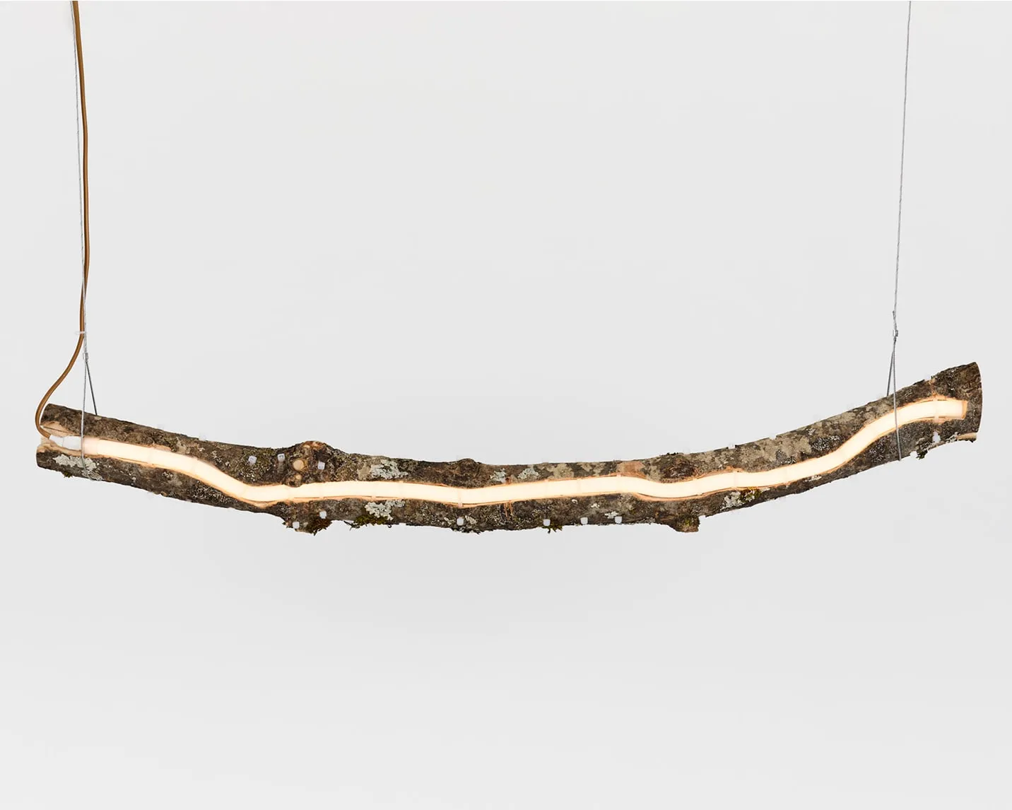 Lampes suspens de l'arbre branché avec une lumière LED intégrée, sur fond blanc